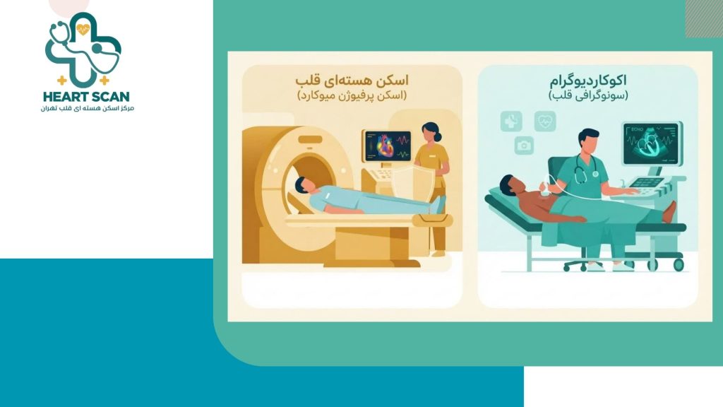 اسکن قلب بهتر است یا اکو قلب